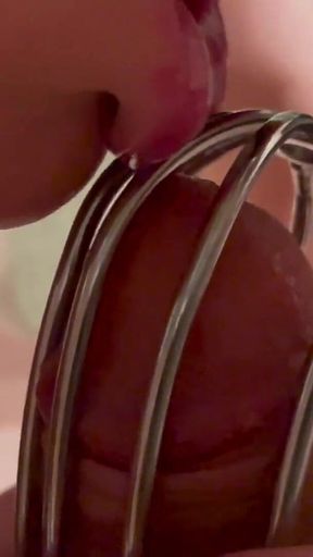 Chastity Belt First Time on His Dick and