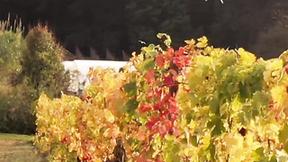 ”Tushy: Bombshell Stefany accepts hot Double penetration offer on holiday”