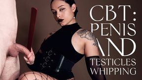 CBT: She whips my Penis and Testicles with her paddle