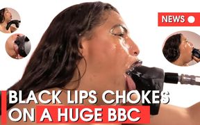 Black Lips Swallow on a Huge BBC