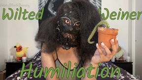 Wilted Weiner Humiliation: Ebony Femdom Erectile Dysfunction Humiliation 4K