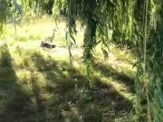 Teen pees outdoors and flashes publicly