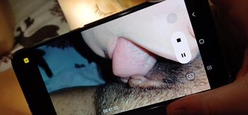 Three Dorm Roommates Have Nasty Fucking