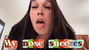 My nose sneezes