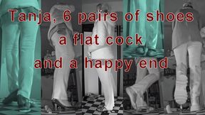 Trampled flat and squeezed out unknowingly by Tanja under 6 pairs of shoes - VD 12