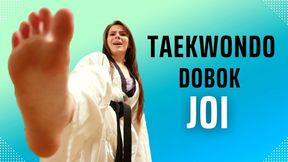 4K Ziva Fey - Taekwondo Dobok JOI