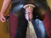 Electro stimulation - cum milking