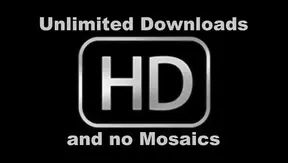 Deadly Moves, Hot Desires: Seductive Assassins Forbidden Liaisons – GayActionX 18+