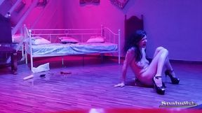 Strip and Toy Live Show Club