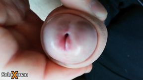 Glans Teasing to the First Drop of Preejaculate - Soloxman
