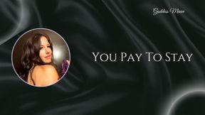 You Pay To Stay
