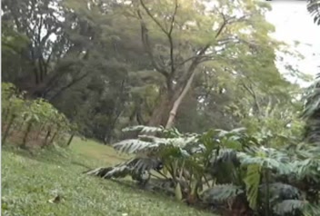 colombian girl in public park