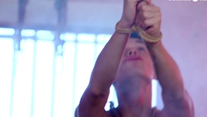 Toys and Twinks Unleashed