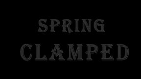 Spring Clamped