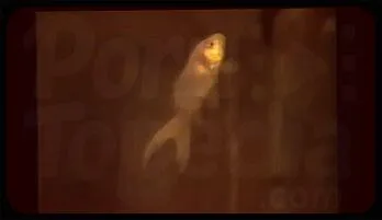 Vintage Threesome with Nasty Older Pussies - Ron Jeremy