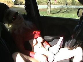 Public Masturbation in Parked Car