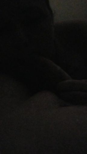 Short blowjob