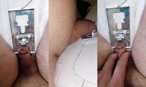 Torture micropenis Mouse trap. CBT SPH BDSM