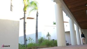 xdreamstv - aspen ora - rich man needs a companion for tonight