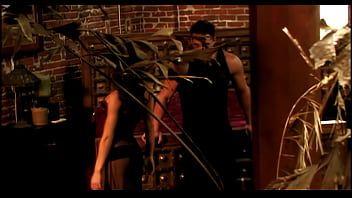 2014 AVN Award Nominee for Best Interracial Series