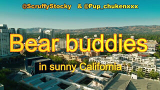 Bjørn amatør fyre kneppet i røven