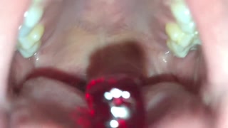 BBW ALICE SENDS YOU ON A JOURNEY THROUGH HER DIGESTIVE SYSTEM VORE