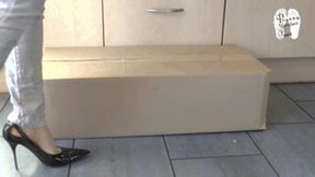 Cardboard box under Stilettos 3