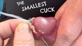 The Smallest Cuck for Giantess Brianna Kelly Cuckold Cock Worship Make Me Bi Encouraged Bi Vore