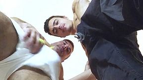 Wild View - SayUncle