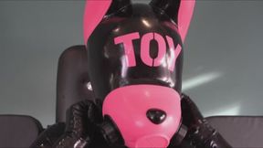 Toy puppy restrained on birthing chair