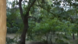 I masturbate pussy and a stranger saw it and helped me cum - Lesbian_illusion