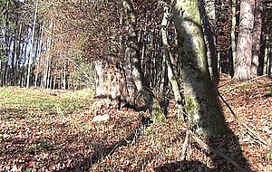 Livias outdoor compilation