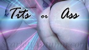 Tits or Ass - MP4 SD 480p