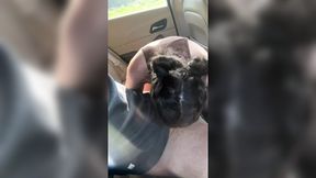 Teen Slut Gives Sloppy Blowjob in Backseat then Gets Fucked on Hood