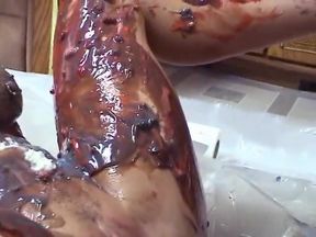 Sexy blond gets fucked and smeared with edible paint by neighbor
