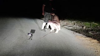 A good example of an obedient three holed fuck toy toilet cunt that all superior men expect to see f