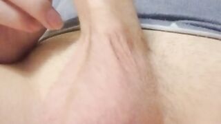 Splendid plus size trans damsel