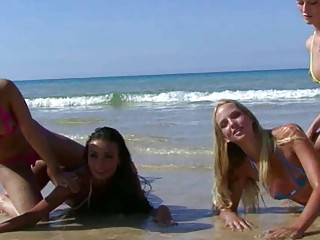 Beach Bikini Chicks