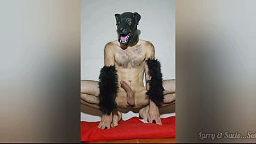 Therian Furro eyaculacion masiva