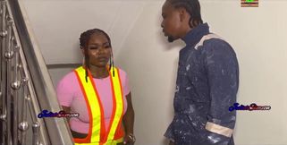 House Painter and the Female Engineer