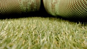 Student Indoors Grass Growth - This Isworship, This Ispower, This Isher, Growth Fetish Re-edited