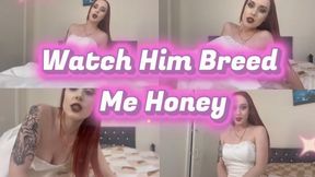 Watch Him Breed Me Honey