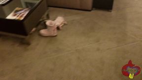 meeting my new stepsisterft. sugarbb and the cock ninja and @smartykat314
