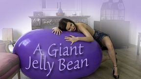 A Giant Jelly Bean