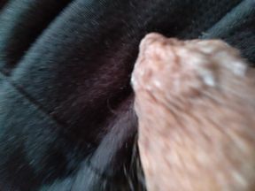 Man available to have his cock sucked