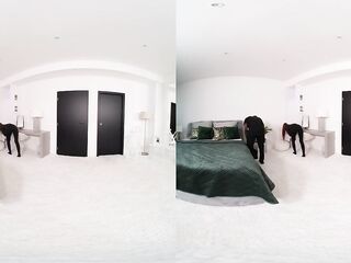 Don't Get Caught in a Stranger's Abode - VR