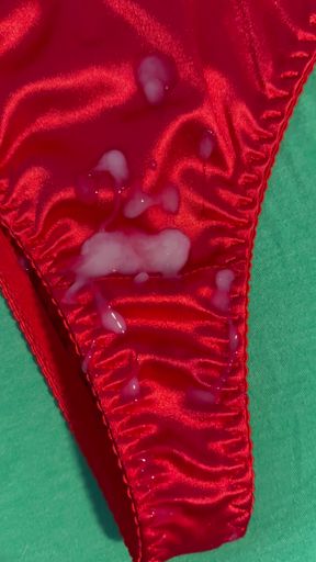 Cum on Wife's Panties 15