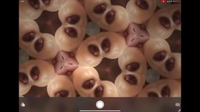 Inverted Kaleidocum