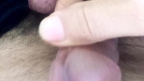 ???? ??? ???? ???? ???? ???? ????????????