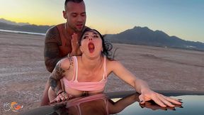 marie fox: desert sunset